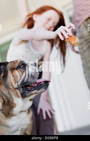 Girl giving dog biscuit Stock Photo