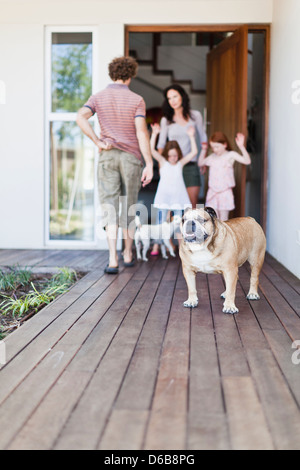 Dog standing on wooden patio Stock Photo