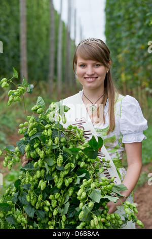 Spalt's Hop Queen Karin Heckl is pictured in Mosbach near Spalt, Germany, 24 August 2012. Record breaking harvests were recorded last year, but this year's harvest in Franconia is expected to be on average. Photo: Daniel Karmann Stock Photo