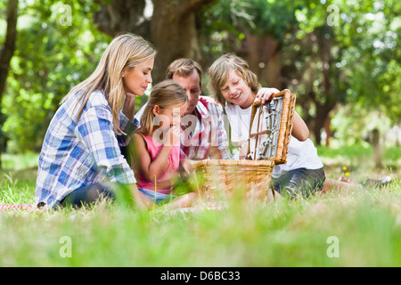 Family having picnic in park Stock Photo