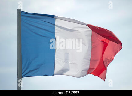 FILE - An archive picture dated 26 May 2011 shows the French flag in Klettwitz, Germany.  am 26.05.2011. On 13 January 2012, the rating agency Standard & Poor's announced that Austria and France has lost its top AAA credit rating. Photo: Patrick Pleul Stock Photo