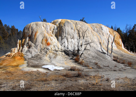 Orange Spring Mound, Mammoth Hot Springs, Yellowstone NP. Montana Stock Photo