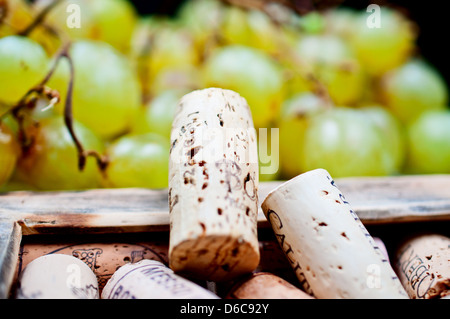 Wine corks in the frame on grape background Stock Photo