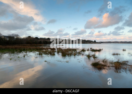 Hayle Estuary; High Tide; Cornwall; UK Stock Photo