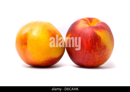 Two juicy nectarines Stock Photo