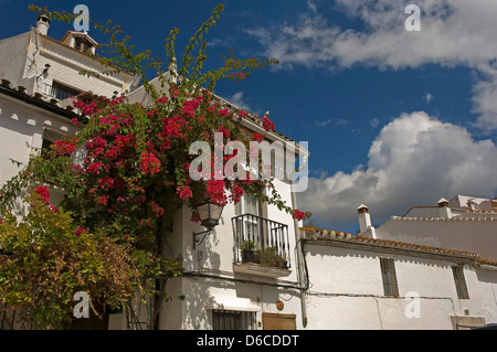 Typical village, Gaucin, Malaga province, Region of Andalusia, Spain, Europe Stock Photo