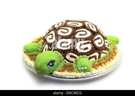 Tortoise Birthday Cake – Etoile Bakery