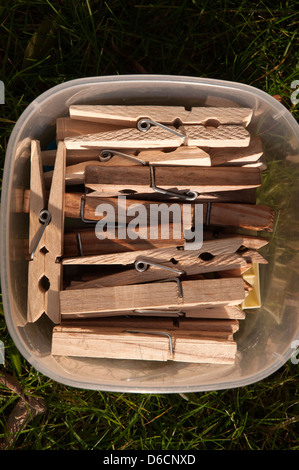 clothes pegs, wooden, in plastic container,grass background, semi close up Stock Photo