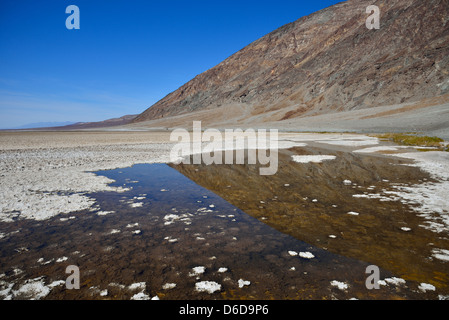 Salt crystals growing in a salt water pond at the Badwater Basin. Death Valley National Park, California, USA. Stock Photo