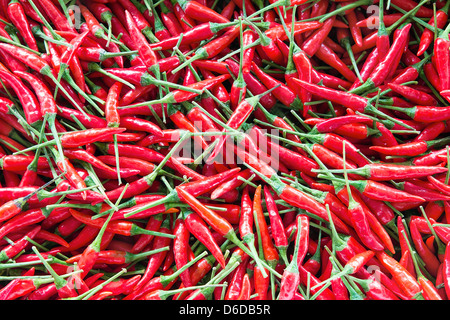 Thai Fresh Red Chili Peppers Background Stock Photo