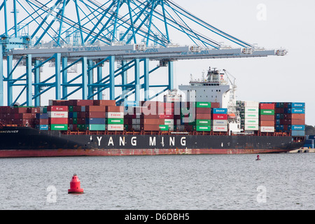 A containerized shipping terminal at the Port Of Virginia in Norfolk.  Stock Photo
