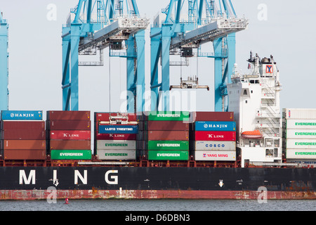 A containerized shipping terminal at the Port Of Virginia in Norfolk.  Stock Photo