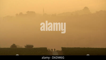 Two people take a walk with their dogs through a vinyard near Essenheim at dawn, Germany, 14 September 2012. About one week prior to the calendric beginning of autumn, the weather is expected to be cool and rainy in Germany. Photo:  FREDRIK VON ERICHSEN Stock Photo