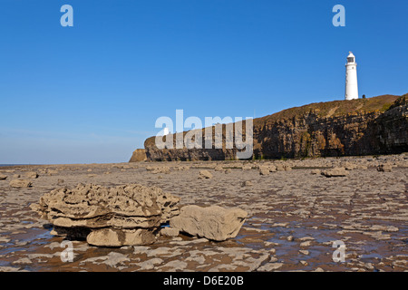The two lighthouses and fog horn at Nash Point in South Wales, taken just after sunrise at low tide on a bright sunny morning. Stock Photo