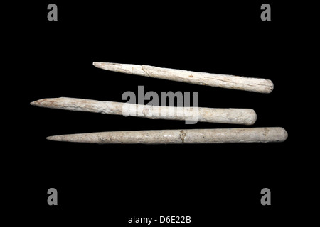 Late Neolithic Bone Pins Found With Three Infant Burials Stock Photo