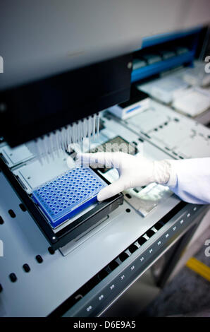 Tissue Typing Lab A staff member of the tissue typing laboratory DKMS Life Science Lab ...
