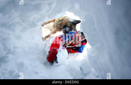 Mountain rescuer Thomas Merkel and his avalanche dog 'Jessy' search for potential avalanche victims in the snow below the Alpsitze in the Zugspitz massif during avalanche rescue training near Garmisch-Partenkirchen, Germany, 18 January 2012. An avalanche in Wildalpjoch set off an elaborate search action on Wednesday. Photo: Sven Hoppe Stock Photo