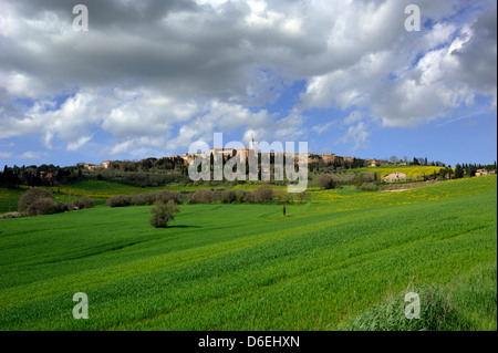 Italy, Tuscany, Val d'Orcia, Pienza Stock Photo