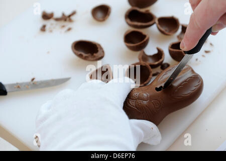 An expert cuts up a chocolate bunny at the Central College of the German Confectionery Industry (ZDS) in Solingen, Germany, 08 February 2012. The Food Test Center of the DLG (German Agricultural Association) tests more than 1000 differents candies for four days. The experts assess looks, flavor, texture, rheologic qualities and the melting process amongst others. Photo: MARIUS BECK Stock Photo