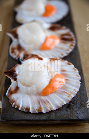 King Scallops in shell Stock Photo