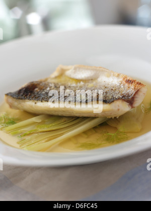 Sea Bass with Fennel Stock Photo