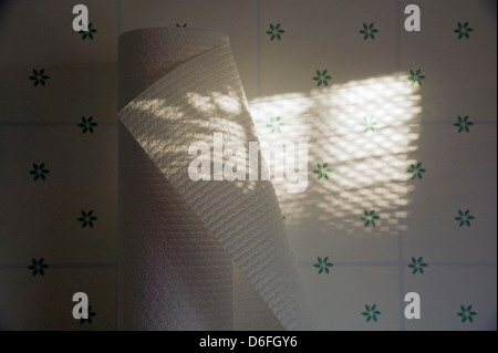 Sunlight streaming through venetian blinds create a striped pattern of shadows on a roll of fresh paper towels. Stock Photo