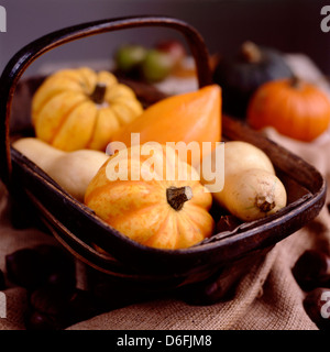 Selection of Squash and Gourds In Trug Stock Photo