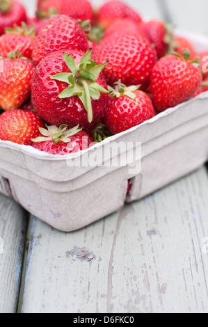 Basket Filled With Fresh Garden Strawberries. Ripe Juicy Strawberries 