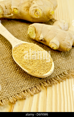 Wooden spoon with the powder of ginger, ginger root on a napkin on a burlap background wooden board Stock Photo