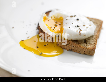 Poached Egg on toast Stock Photo
