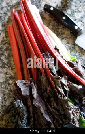 Fresh red swiss chard with a kitchen knife Stock Photo