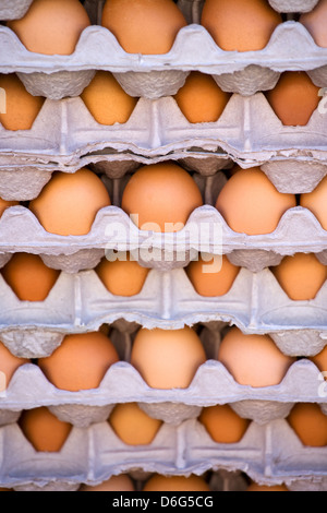 Stacked egg cartons with eggs Stock Photo