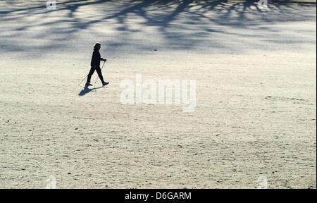 A woman does Nordic Walking in the Ostpark in Frankfurt am Main, Germany, 16 January 2012. Photo: Arne Dedert Stock Photo
