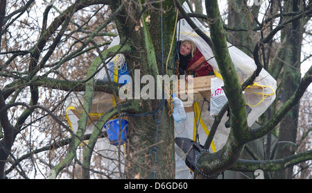 An opponent of the controversial railway project Stuttgart 21 has squatted a tree and observes the eviction of parts of a protest camp against Stuttgart 21 by the police at the Schlosspark (castle gardens) in Stuttgart, Germany, 15 February 2012. The Deutsche Bahn plans to fell trees in the coming days to proceed with construction works for the railway project. Photo: Tobias Kleins Stock Photo