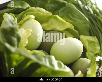 MIni easter Eggs wrapped in a lettuce Stock Photo