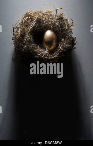 Golden egg in nest Stock Photo