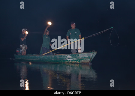 Guide and researchers on a boat out lamping for Caiman with spotlight with the intention of catching individuals data collection Stock Photo