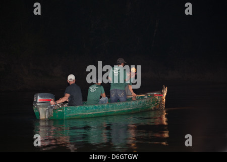 Guide and researchers in a boat out lamping for Caiman with spotlight with the intention of catching individuals data collection Stock Photo