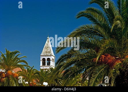 A very typical Venetian church spire viewed over the palms on the Riva (waterfront) of Trogir, Croatia Stock Photo
