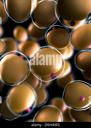 Human fat cells, artwork Stock Photo
