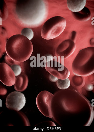 Blood stream, artwork Stock Photo