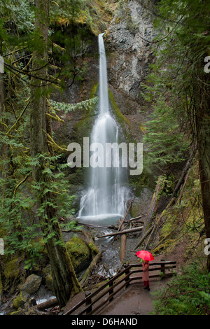 Woman with umbrella admiring waterfall Stock Photo