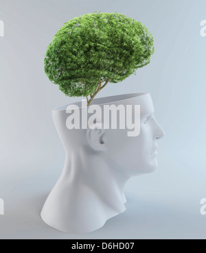 Tree-shaped brain, artwork Stock Photo