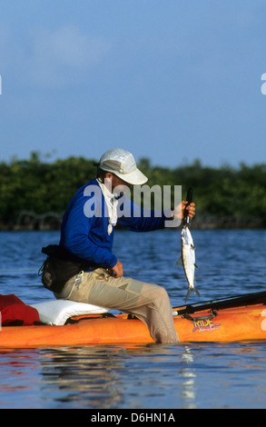 A fly fisherman weighing a bonefish (Albula vulpes) caught from a kayak in Ascension Bay Yucatan Quintana Roo Mexico Stock Photo