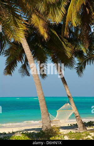 Cayo Levisa hammock between two palms Stock Photo