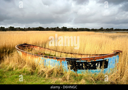 Rusty old shipwrecked and bandoned boat in reeds on salt marshes in Poole Harbour, Dorset. Stock Photo