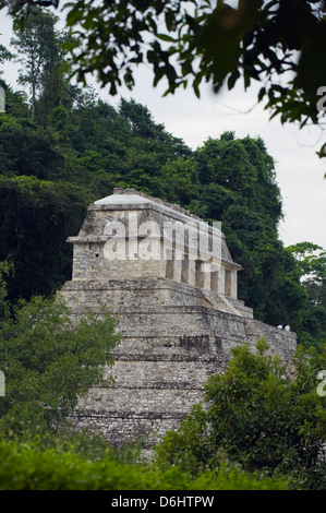 Palenque Mayan ruins, Chiapas state, Mexico, North America Stock Photo