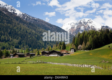 Mountain farms near Sankt Nikolaus (S. Nicolo) in the Ulten valley (Ultental). Eastern Alps, South Tyrol, Italy. Stock Photo