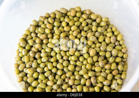 Green Whole Mung Beans in Plastic Container