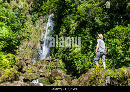 Tourist looking at the Trafalgar Falls, Morne Trois Pitons National Park, UNESCO Site, Dominica, West Indies, Caribbean Stock Photo